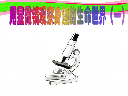 用显微镜观察身边的生命世界(一)   大赛获奖精美课件PPT
