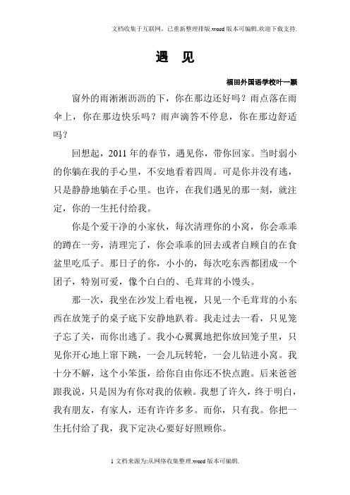 初中作文精选--遇见