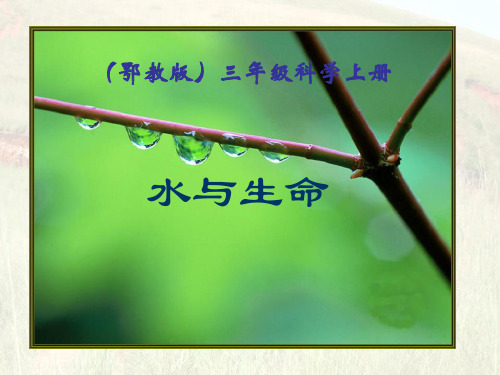 《水与生命》饮用水 PPT实用课件