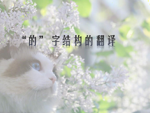“的”字结构的翻译