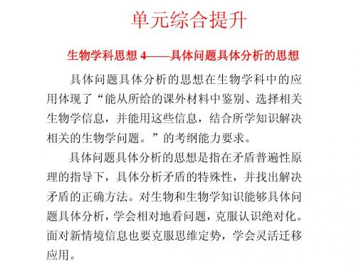 第6单元  单元综合提升