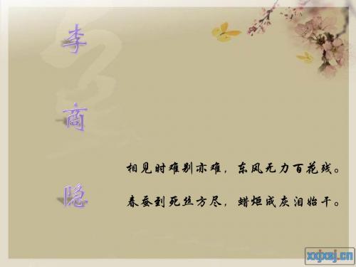诗的朦胧美