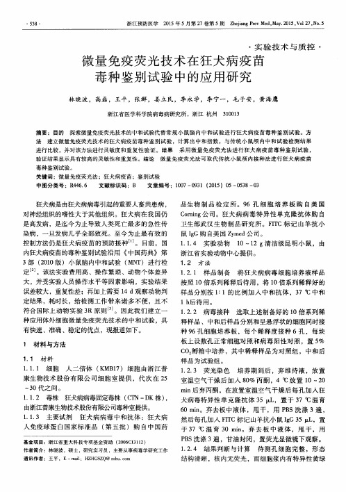 微量免疫荧光技术在狂犬病疫苗毒种鉴别试验中的应用研究