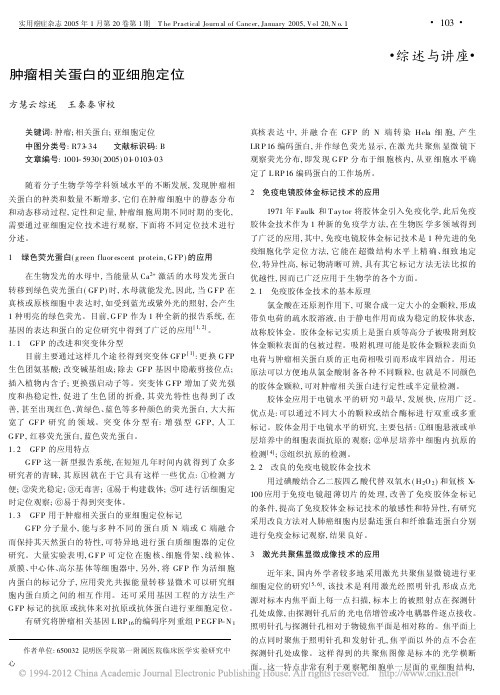 肿瘤相关蛋白的亚细胞定位_方慧云
