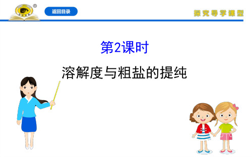 20版化学《金榜学案》鲁教版九年级下册8.2.2 溶解度与粗盐的提纯