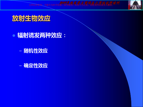 放射卫生防护措施培训课件