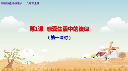 部编版六年级上册《第1课感受生活中的法律》课件