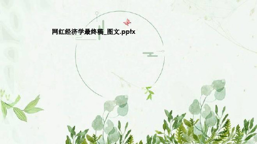 网红经济学最终稿_图文