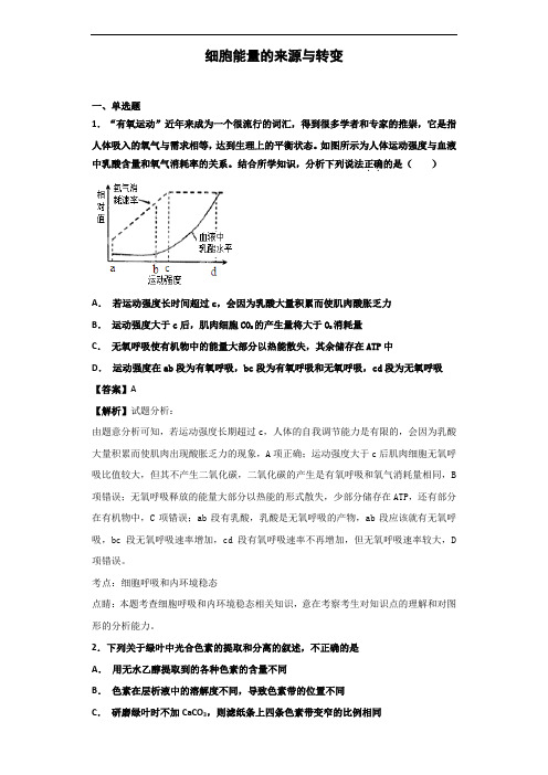 中图版必修一 细胞能量的来源与转变 作业