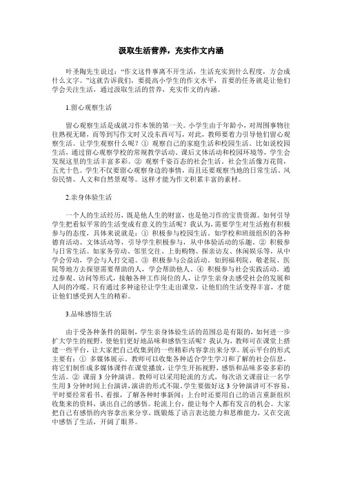 汲取生活营养,充实作文内涵