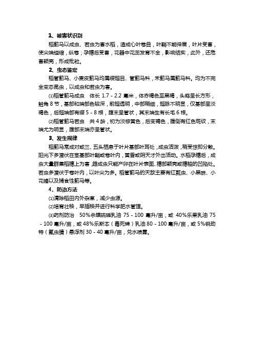 稻蓟马识别和防治技术