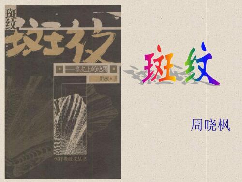《斑纹》教学(实用)