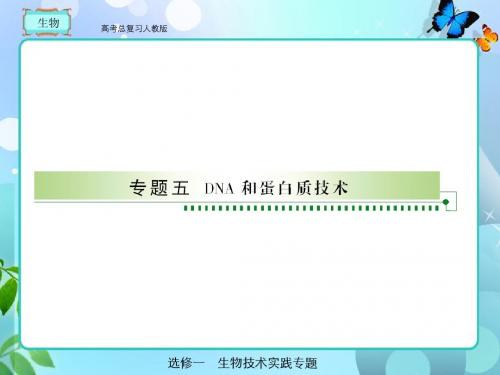 高考总复习 生物选修1-5