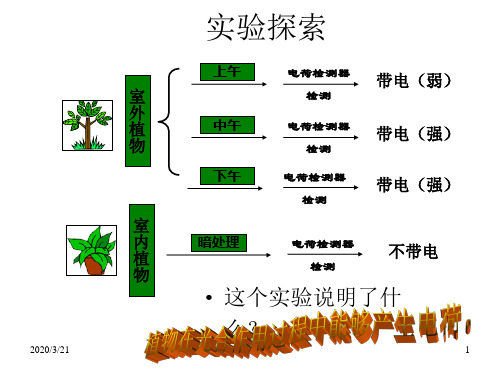 光能在叶绿体中的转换(PPT)5-2