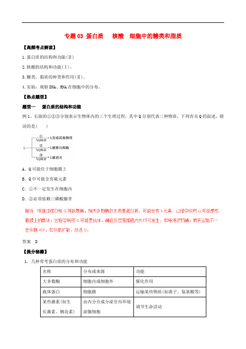 高考生物 热点题型和提分秘籍 专题03 蛋白质 核酸 细