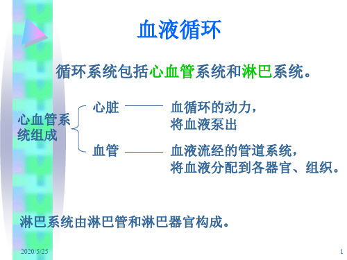 基础医学概论-血液循环