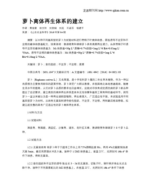 萝卜离体再生体系的建立