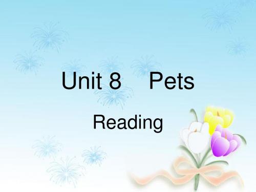 牛津译林版七年级英语下册《Unit 8 Pets》课件2