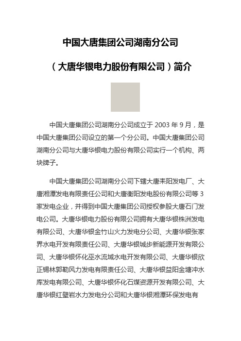 中国大唐集团公司湖南分公司简介