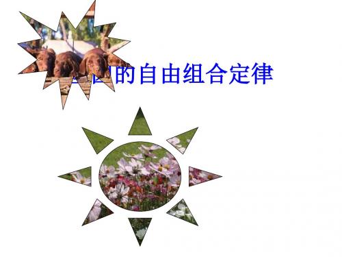高二生物基因的自由组合定律(新编2019)