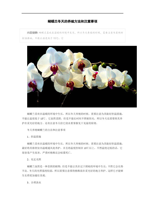 蝴蝶兰冬天的养殖方法和注意事项