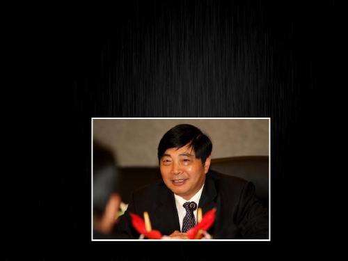 公共管理学-仇和政改分析专题