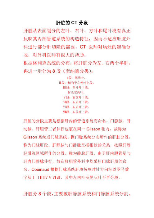 肝的分段