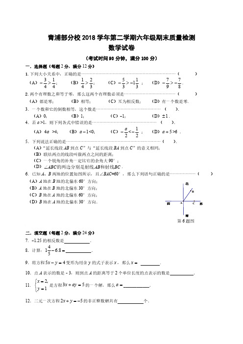 上海市青浦区2018-2019学年第二学期六年级数学期末试卷(PDF版)