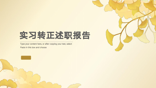 小清新实习转正述职报告PPT模板