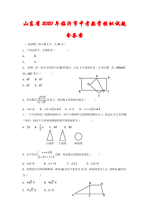 山东省2020年临沂市中考数学模拟试题(含答案)