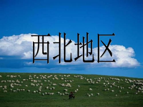 中国的西北地区