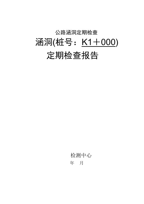 涵洞定期检查分报告范本