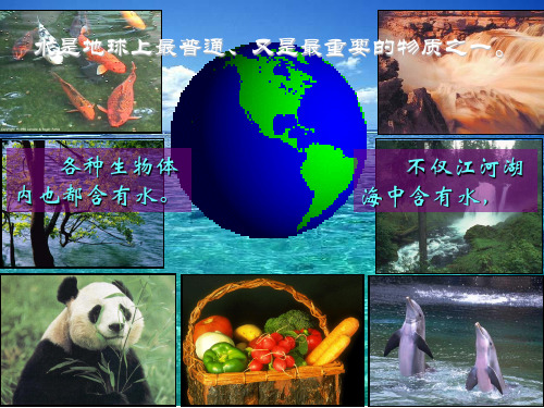 第四单元课题三水的组成