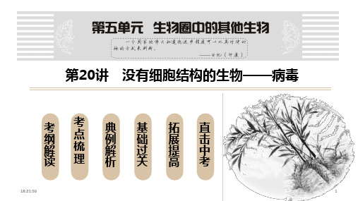 20--没有细胞结构的生物—病毒 (47张)--2分
