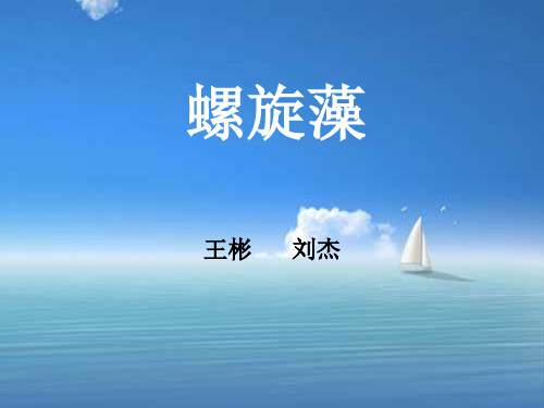 螺旋藻的开发利用