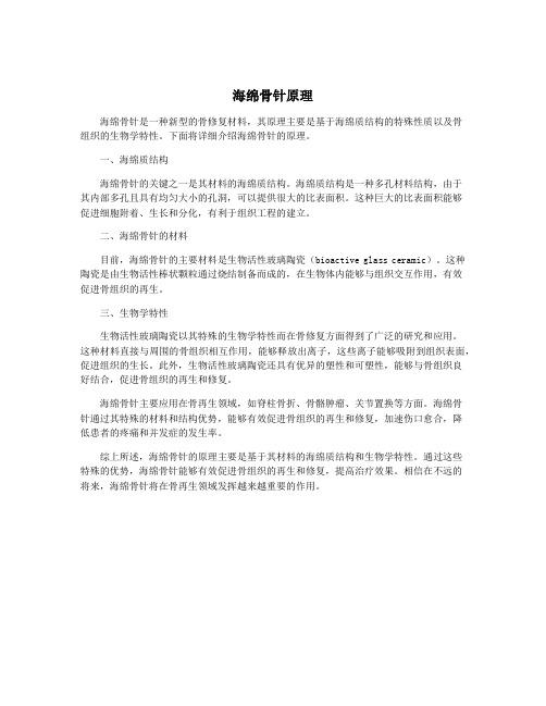 海绵骨针原理