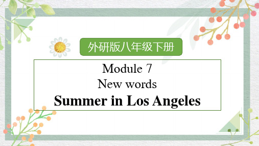 Module 7 Summer in Los Angeles 单词讲解