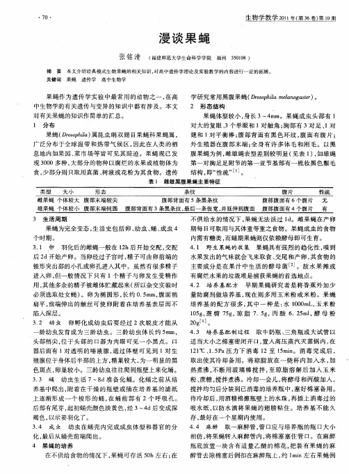 漫谈果蝇