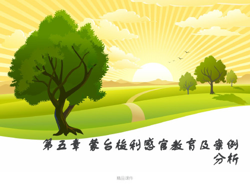新编第五章 蒙台梭利感官教育及案例分析