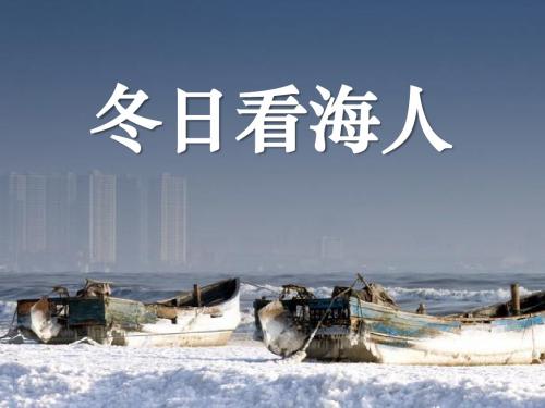 《冬日看海人》PPT课件2 (共19张PPT)