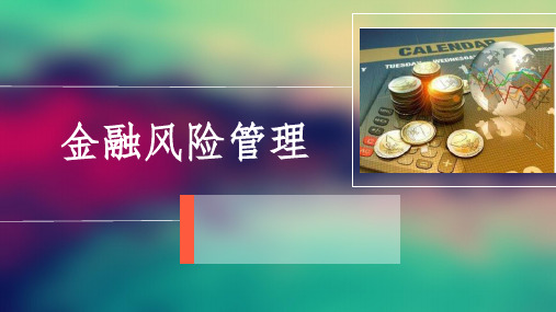 金融风险管理案例分析精选ppt