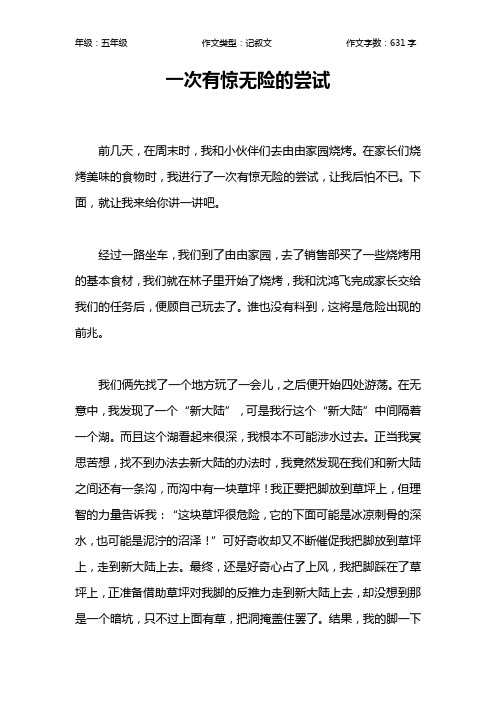一次有惊无险的尝试作文【小学五年级600字】
