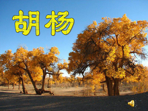 湘教版语文六年级下册《胡杨》1