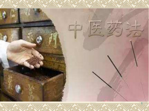 中医药法 PPT课件