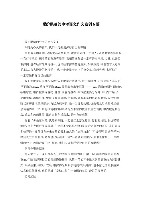 爱护眼睛的中考语文作文范例5篇