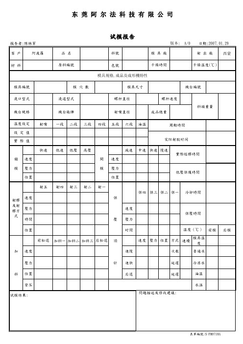 试模报告