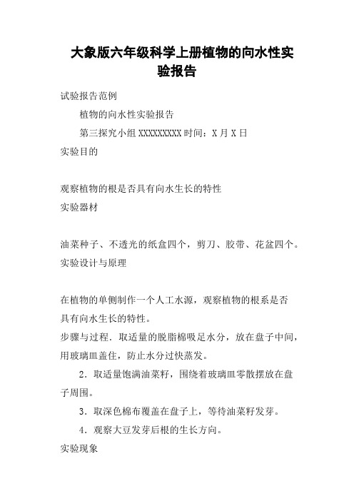 大象版六年级科学上册植物的向水性实验报告