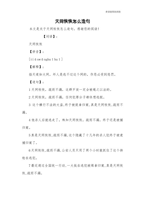 天网恢恢怎么造句