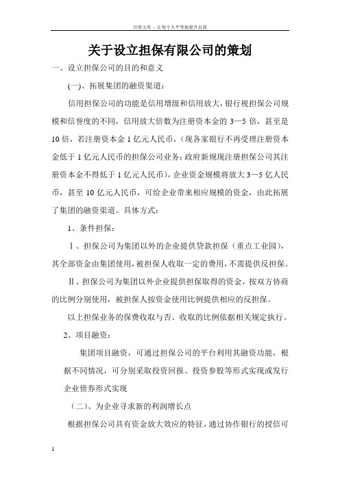 关于设立担保投资有限公司的策划