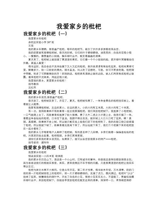 我爱家乡的枇杷作文共九篇